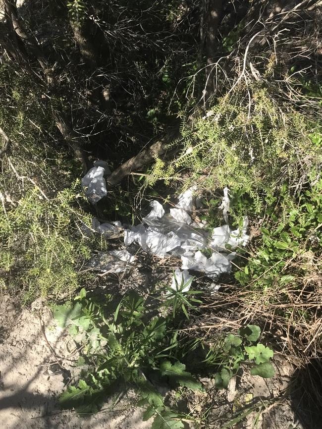 Tissues left behind in the Tennyson dunes.