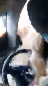 Terrifying moment a ute is engulfed by floodwaters in Queensland