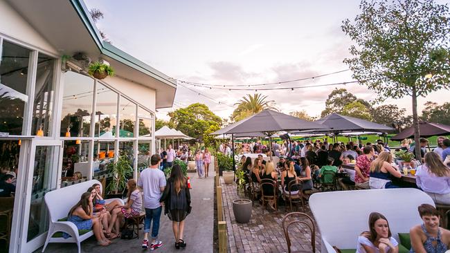 Pooches welcome at The Greens in North Sydney.