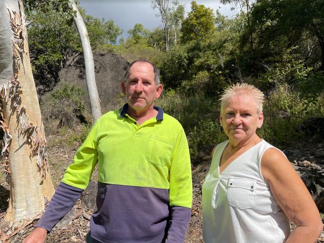 Ian and Frances Chatterton said the ants caught them by surprise when they came down the hill. Picture: Leighton Smith