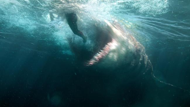 A promotional still from the movie 'The Meg'. Picture: Warner Bros