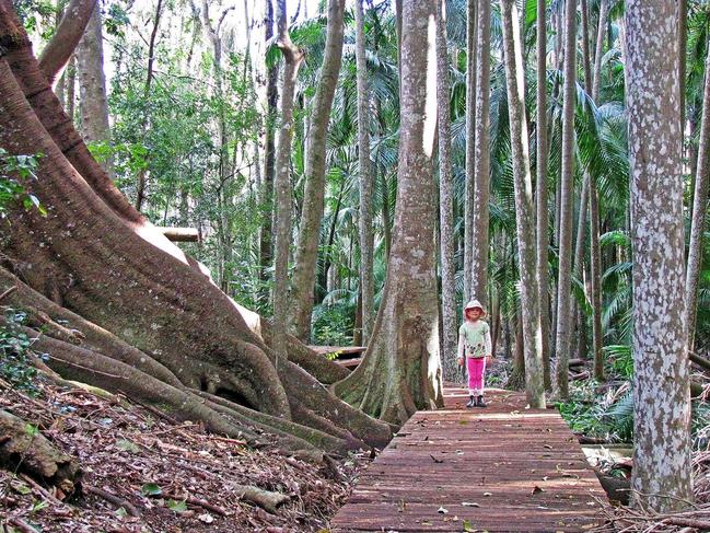 Nature lovers like The Palms National Park for its unique tropical rainforest feel. Photo Contributed