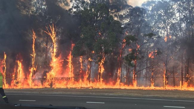 Alana Dent took this picture of the massive blaze at the reserve from outside her home on Belleavue Ave.