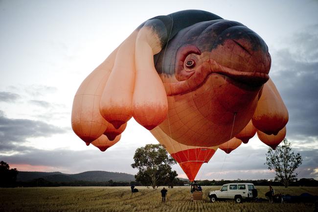 Patricia Piccinini's Skywhale will take to Australian skies with a new addition to its family — Skywhalepapa. Picture: supplied