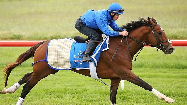 Kerrin McEvoy says Royal Empire has the credentials to match the feats of Beekeeper and Crime Scene. Picture: Getty Images