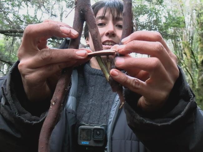 Tasmanian contestant Corinne Ooms on Alone Australia. Picture: Supplied