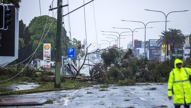 Fallen trees at HOTA in Bundall brought down powerlines, cutting off power from the council chambers for six days. The surviving trees will now be removed Picture: Nigel Hallett