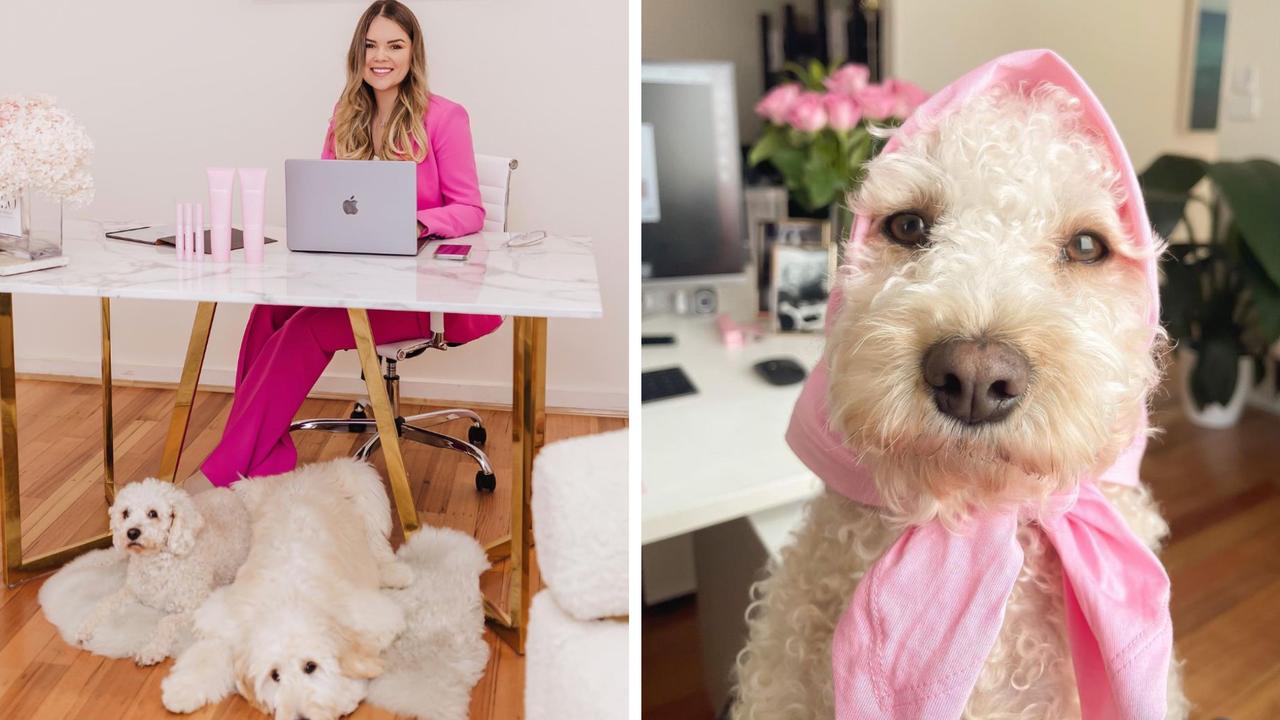 Ms Plecic bringer he dogs to work. Picture: Instagram / @miaplecic