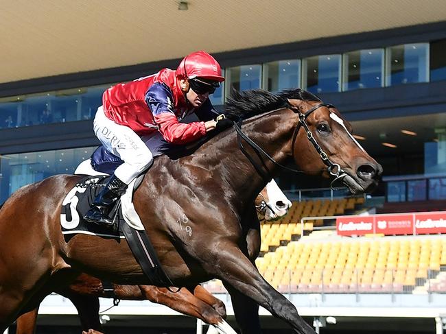 Brereton provides the magic moment when winning at Doomben to take Tony Gollan past his own record for the most city winners in a season.  Picture: Grant Peters, Trackside Photography.,