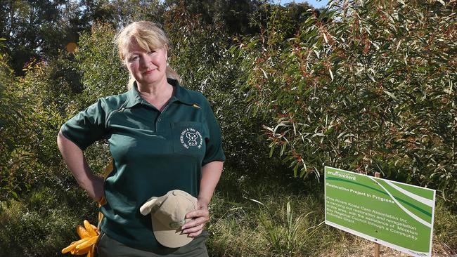 Sue Laid with newly planted Koala habitat in Strathpine. Ms Laid is concerned about future development that will threaten Koalas ahead of National Tree day. (AAP/Jono Searle)