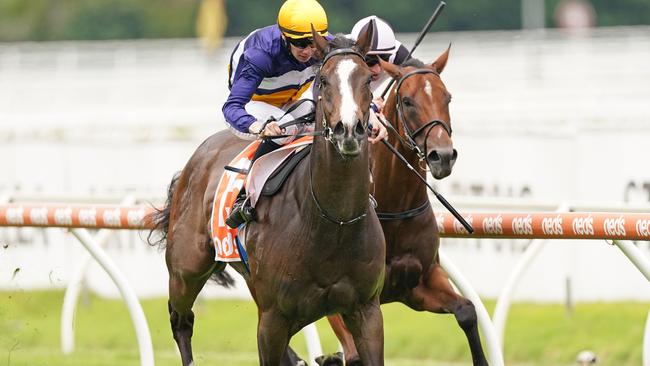 Zac De Boss can make it three in a row at headquarters. Picture: Getty Images