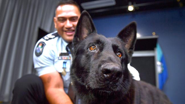 Senior Constable Joe Alofipo with PD Bravo, who went missing in Logan over the weekend. Picture: John Gass.