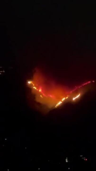 Wildfire Breaks out in Heart of Hollywood Hills