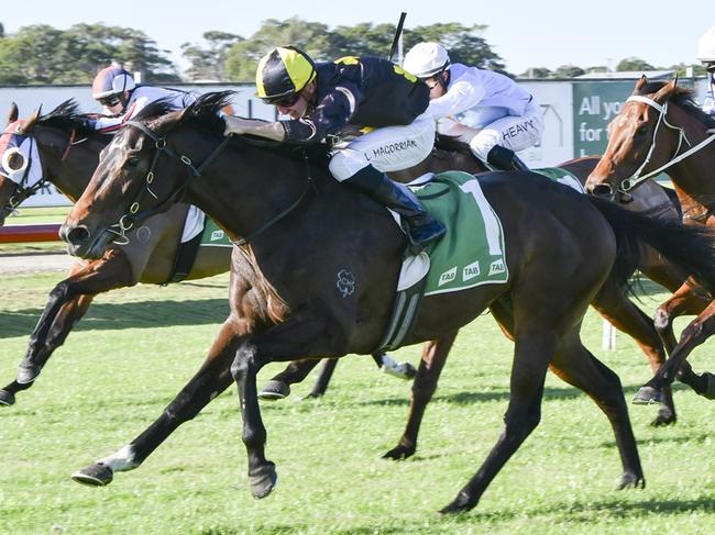 Race 5 - Newcastle, 19/08/2023, Winner- Mountain Guest Picture: Bradley Photos