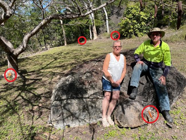 Circles indicate yellow crazy ant colonies in the Chatterton's backyard at Alligator Creek. Picture: Leighton Smith