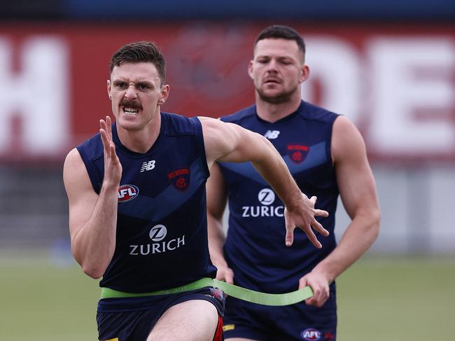 How the Dees built premiership around backline odd couple
