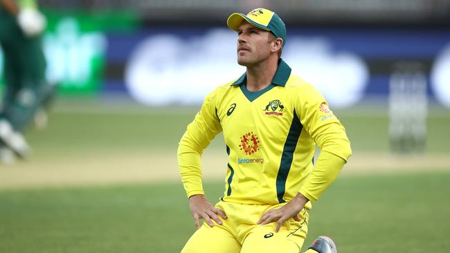 Aaron Finch after a miss field. Picture: Getty