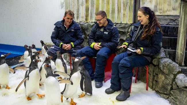 Spend ice time with penguins at Sea Life.