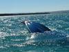 Boat left stranded amid admin spat
