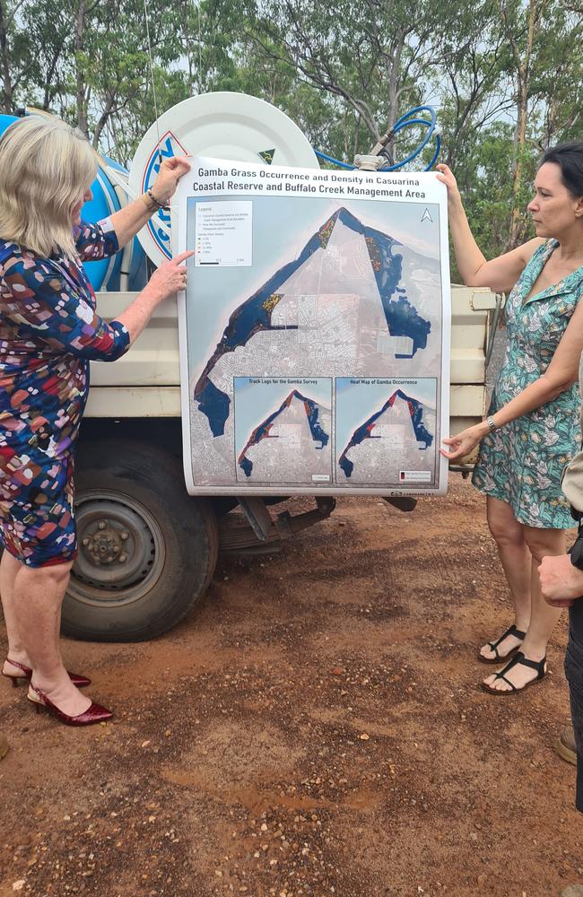 Environment Minister Eva Lawler surveying the battle against Gamba grass at Casuarina. Picture: Thomas Morgan