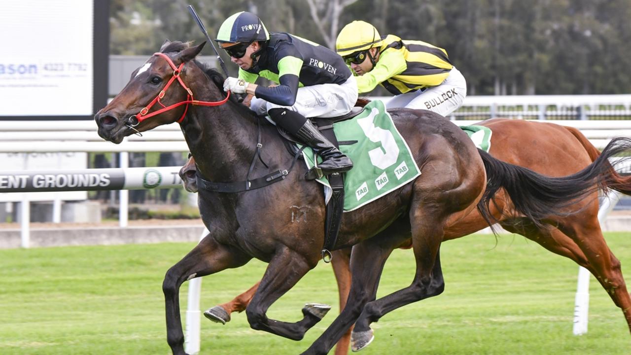 King's Secret and make it back-to-back wins to start his campaign. Picture: Bradley Photos