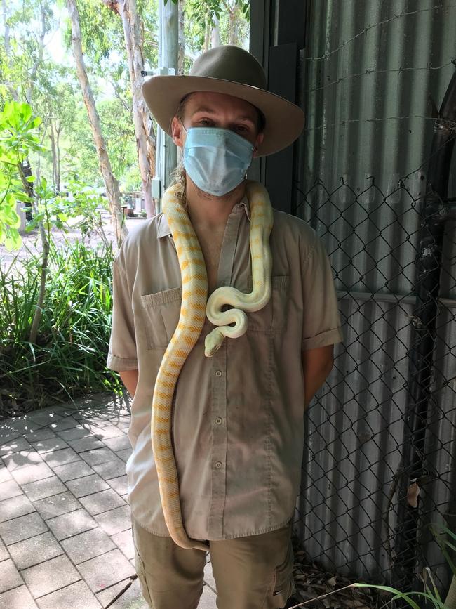 Ranger Matt Cooper with the albino python. Picture: Penny Hunter