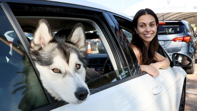 Sybil Sweet was kept amused by her dog Wolfie in the long wait for a test at Bondi on Friday. Picture: Toby Zerna