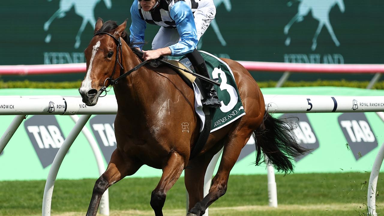 Thompson begins Golden Slipper dreaming with Bel Merci