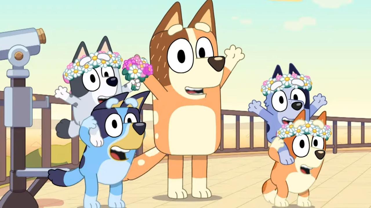 Hooray! Bluey has become the most watched TV show in the US. Picture: supplied