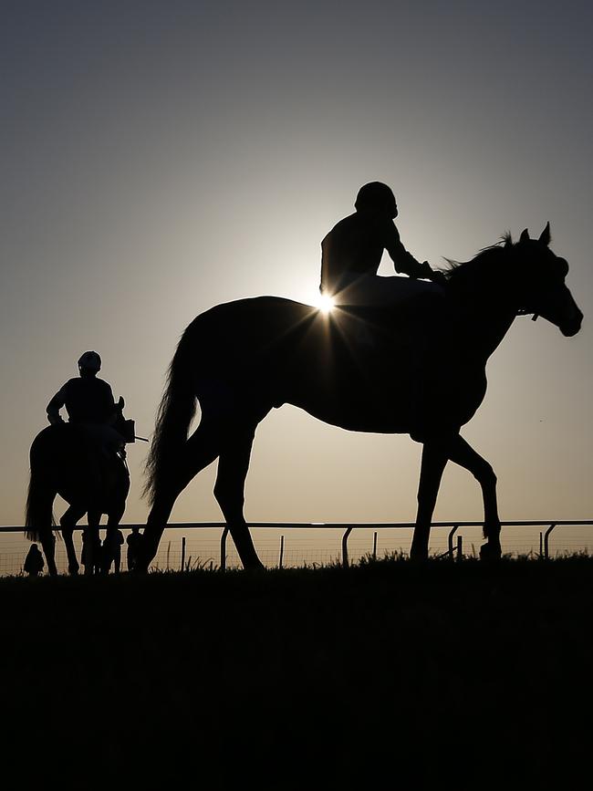 “Infallible” betting systems were a feature of racetrack scams. Picture: Getty