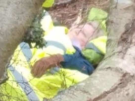 Without warning a 15-metre tree came crashing down, sending Ken "flying" and trapping Caroline. Picture: Supplied