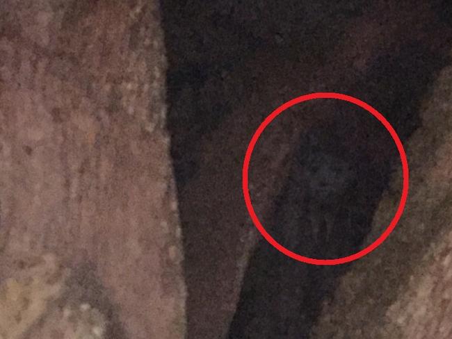 Claimed ghostly image of James Morgan at St Augustine cemetery. Picture: Supplied/Ancient City Tours.