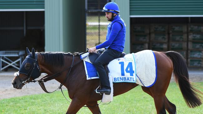 Benbatl after a workout at Werribee. Picture: AAP