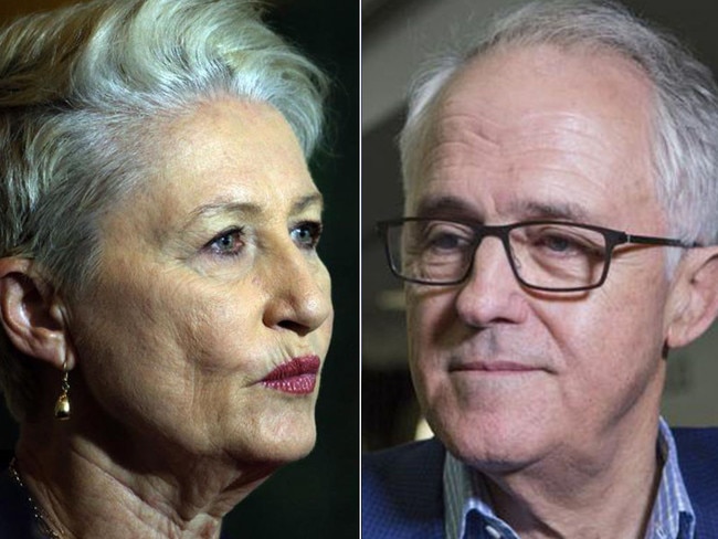 Kerryn Phelps has confirmed talks with Malcolm Turnbull.