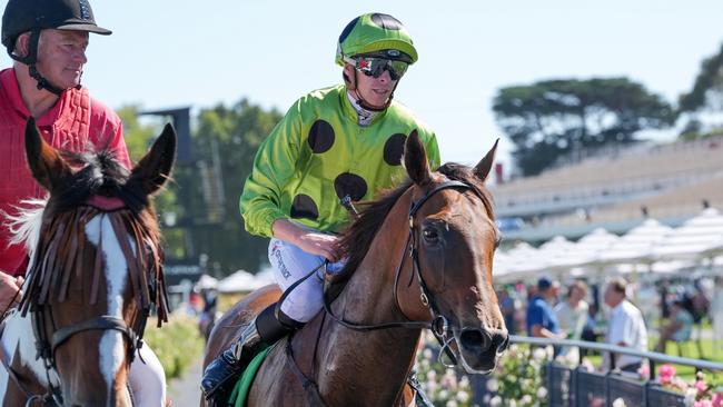 Marble Arch, ridden by Michael Dee, returns to the mounting yard after winning the Blamey Stakes at Flemington. Picture: George Sal / Racing Photos