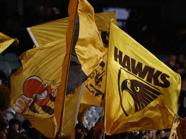 MELBOURNE, AUSTRALIA - MAY 13: Hawthorn fans cheer during the round nine AFL match between Hawthorn Hawks and Melbourne Demons at Melbourne Cricket Ground, on May 13, 2023, in Melbourne, Australia. (Photo by Darrian Traynor/AFL Photos/via Getty Images )