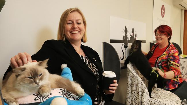 Fiona Sams enjoys a cuddle with a cat at Cafe Purrfection, while owner Dr Kim Kendall looks on. Picture: Toby Zerna