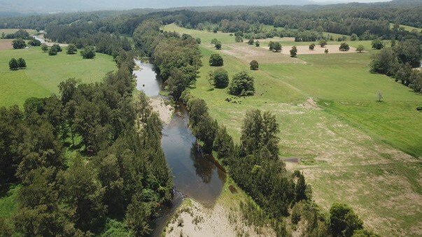 The Bellinger River catchment reached record low flows in November, despite being one of the most reliable river catchments.