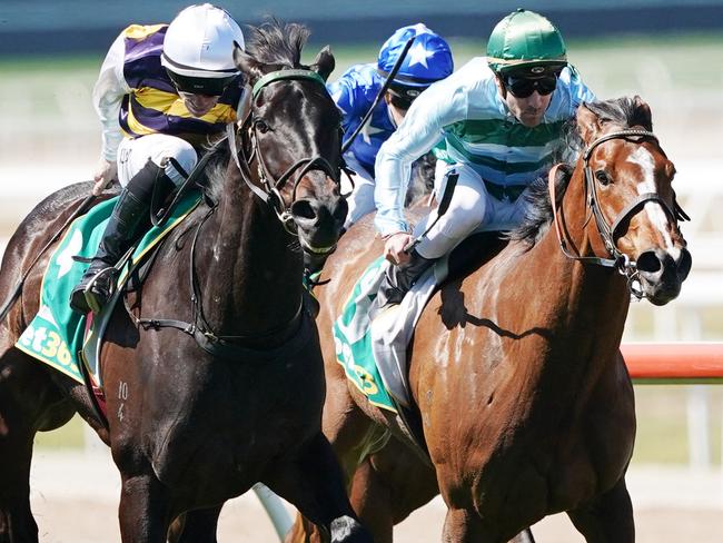 Jockey John Allen rides Harbour Views to victory in Race 6, the Mcc Country Series Heat 6, during the Geelong Cup Day at Geelong racecourse in Melbourne, Wednesday, October 24, 2019. (AAP Image/Michael Dodge) NO ARCHIVING, EDITORIAL USE ONLY