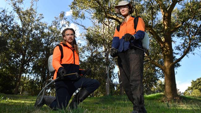 TreesForLife officers Phil Goodwin and Sophie Remin at Cleland Conservation Park. Picture: Keryn Stevens