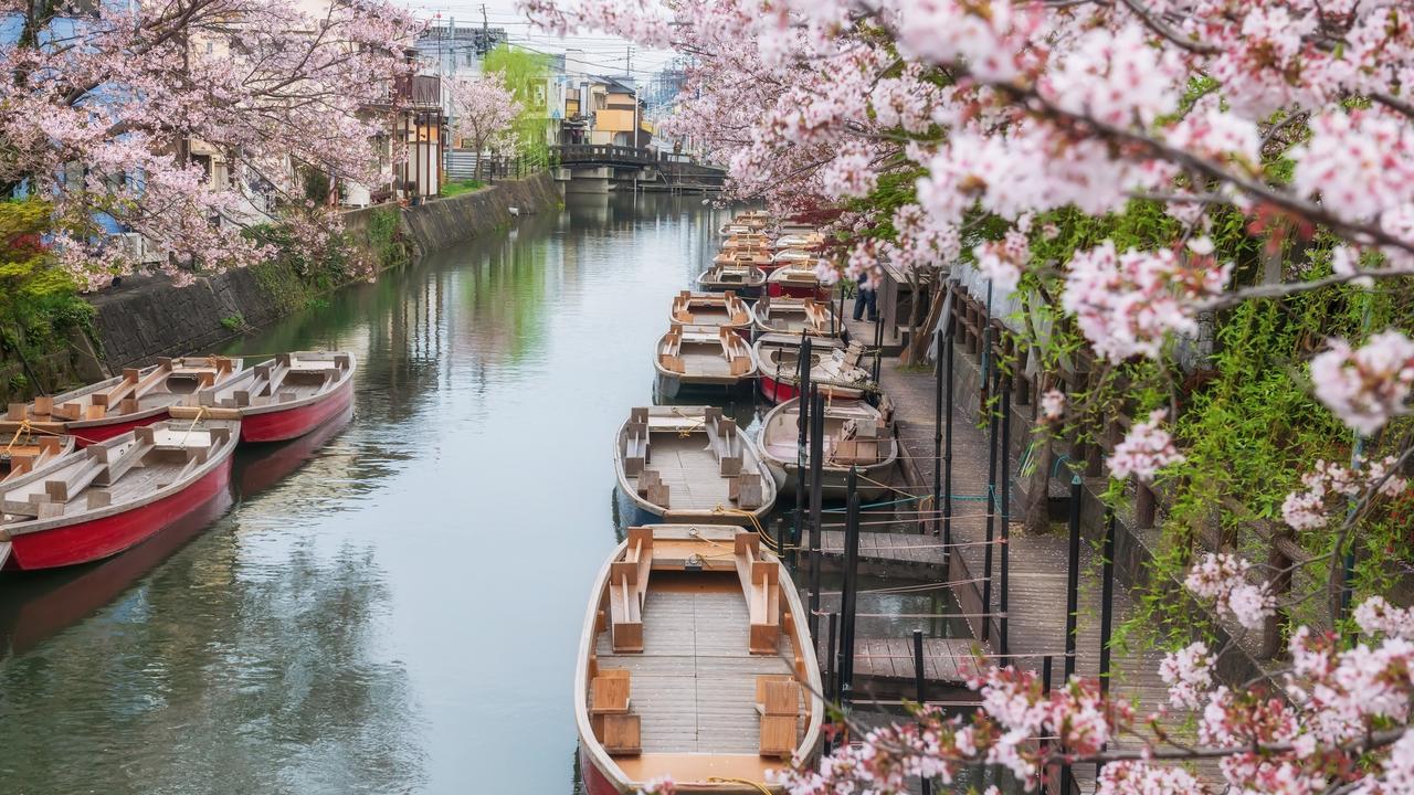 Long weekends, school holidays and cherry blossom season are popular times Aussies visit Japan. Picture: iStock
