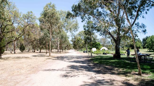 The other side of Veale Gardens is brown and unwatered. Picture: AAP / Morgan Sette