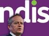 Why NDIS and child care fraudsters make my blood boil