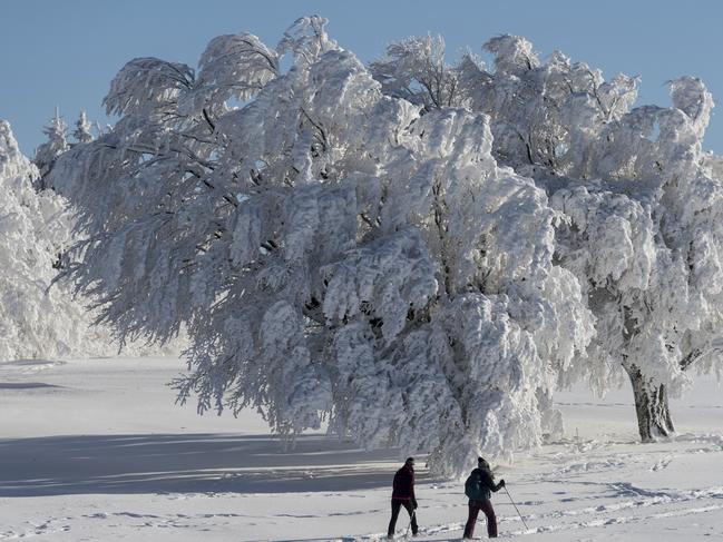 Two snowshoe hikers pass by a snow-covered tree at the Schauinsland mountain in Black Forest in Hofsgrund, southern Germany. Picture: AP