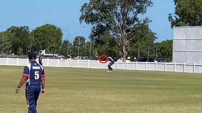 Mudgeeraba Nerang cricketer Jai Kurt had a "terrifying" encounter with a magpie last weekend. Pic: Supplied.