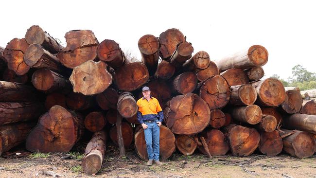 Dwellingup Sawmill owner Jay Branson has had to come up with new ways of sourcing timber after the WA government banned native forest logging. Picture: Charlie Peel