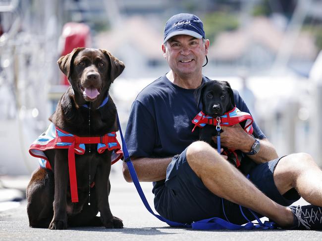 DAILY TELEGRAPH - 6.12.24Sydney to Hobart preparation in Darling Point today.  Sam Haynes pictured with dogs Cosmo (puppy on lap) and Jojo (left) from Assistance Dogs Australia. Picture: Sam Ruttyn