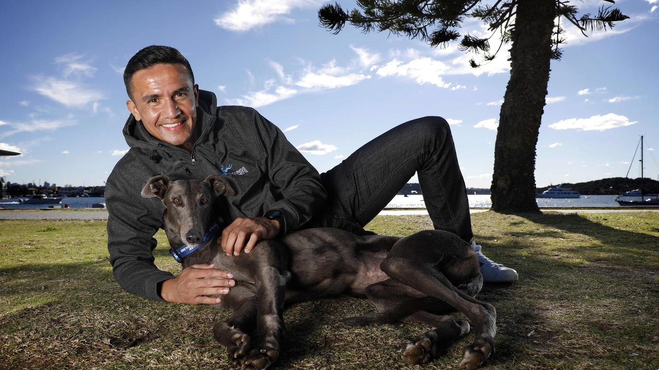 Tim Cahill with his blue greyhound, Luna Moana. Picture by Chris Pavlich for The Daily Telegraph