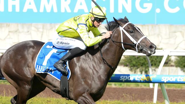 I Am Velvet won on debut at Pakenham. Picture: Ross Holburt/Racing Photos