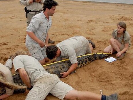 Check out this fantastic photo of Stanley the croc from just the other day. In this photo we are measuring him! He's a total of 9' 10